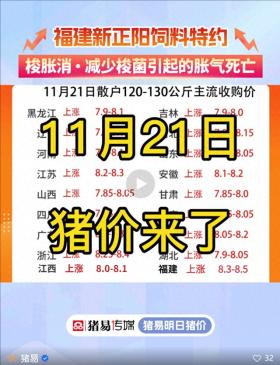 11月21日猪价来了！ 