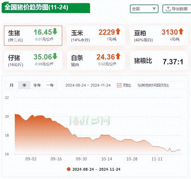 11月24日生猪价格：涨不动！猪价上涨持续“遇冷”，年末有戏吗？ 