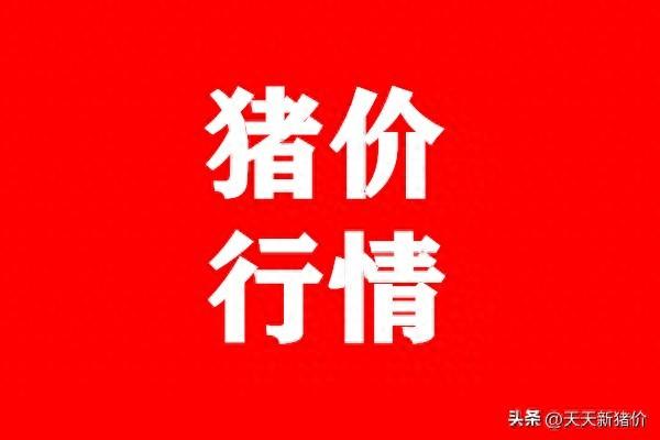 向彦静