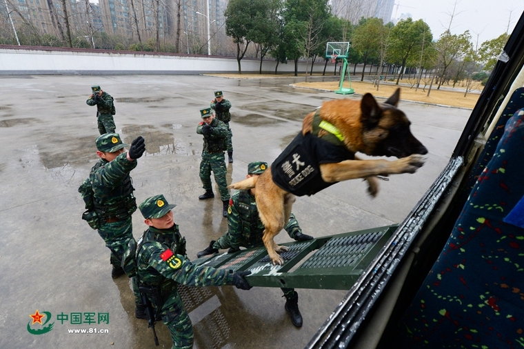 阀门十大品牌优选榜 