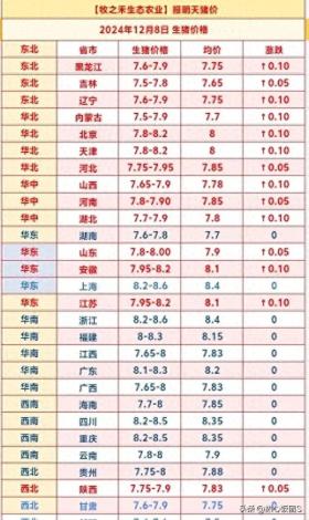 明天猪价 2024年12月8日生猪价格行情报价表 